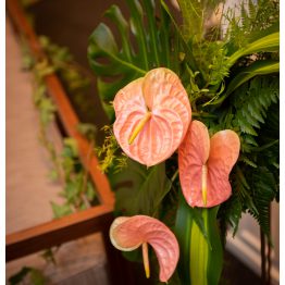 Full Moon Party by AFTERRAINFLORIST